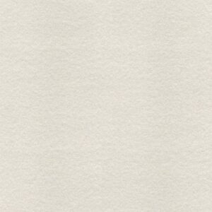 Gạch Taicera BUSH HAMMER Series 60X60CM G68525