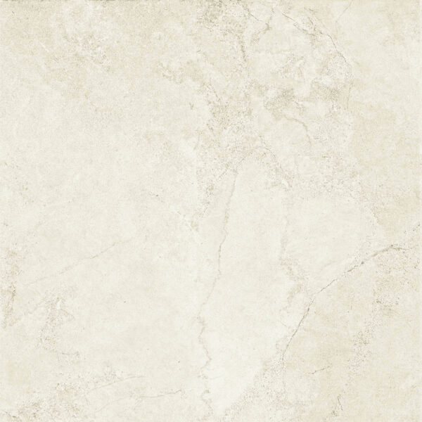Gạch Taicera NATURE Series 60X60cm G68813 - Ảnh 3