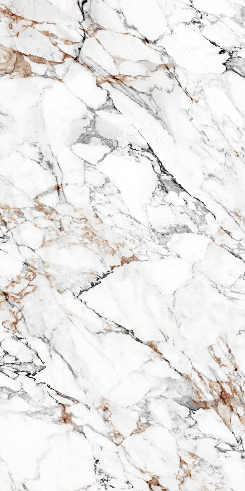 Gạch CHAMPION Grand - MA241209005 - Ảnh 2