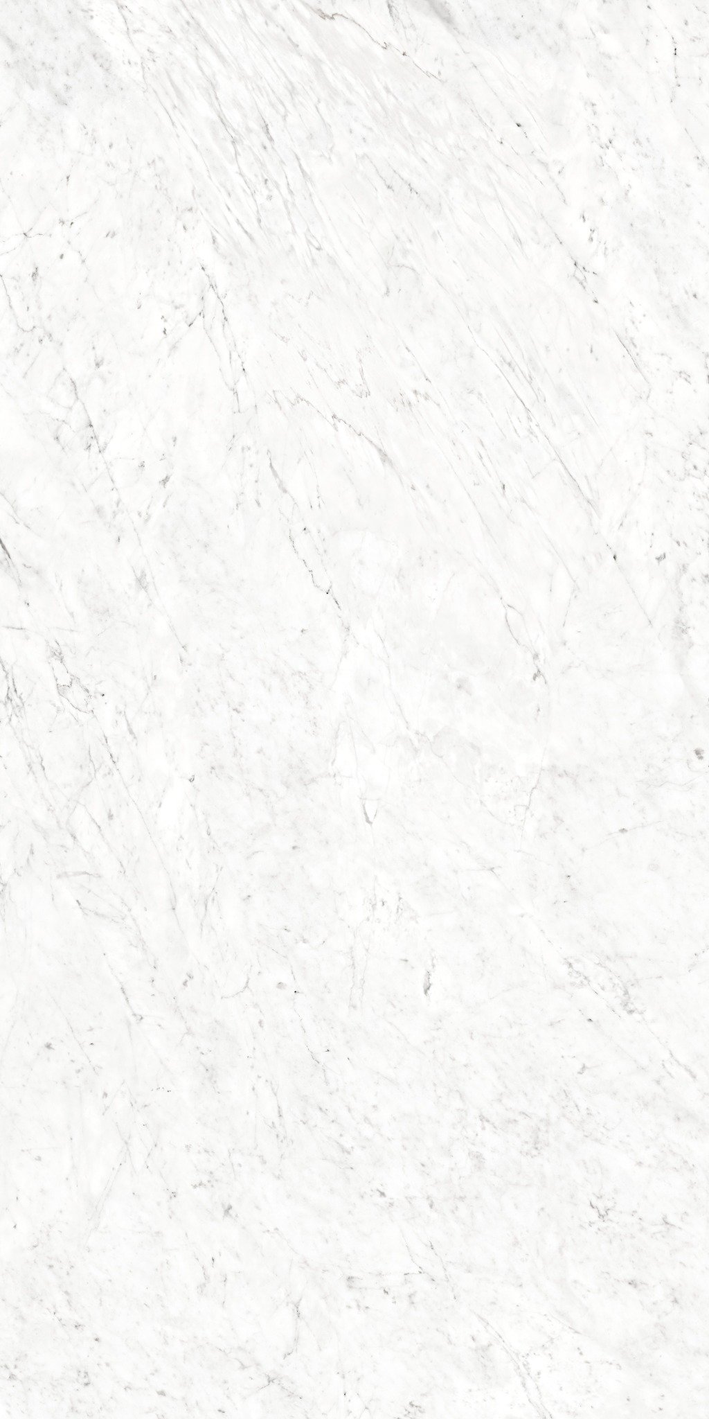 Gạch CHAMPION Grand - MA241209006