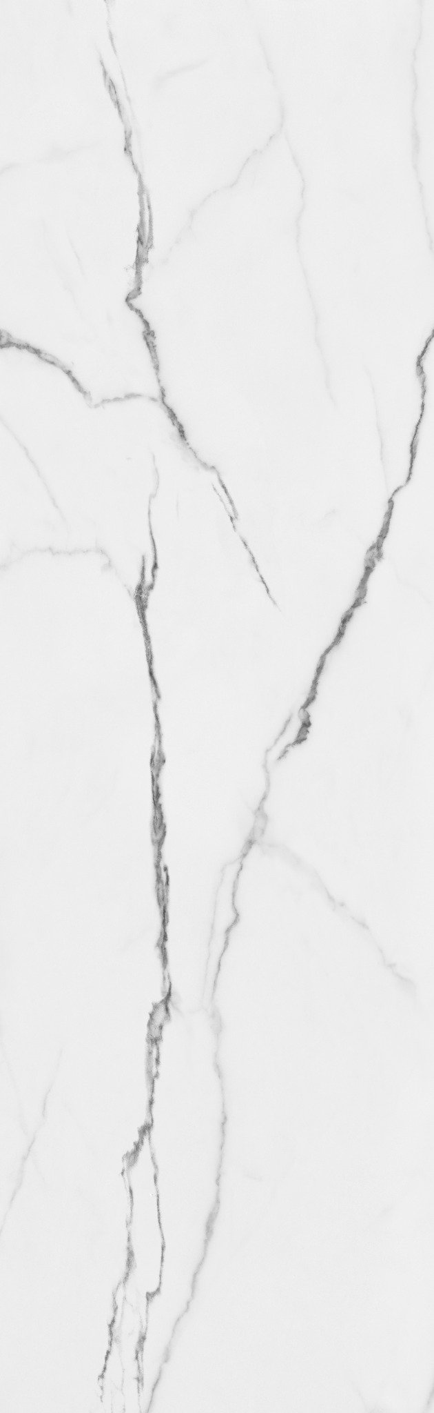 Gạch CHAMPION Grand - MA268009028 - Ảnh 5