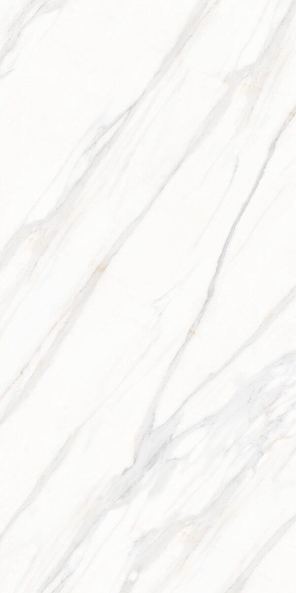 Gạch CHAMPION 90x180 Slab - MA918802YR