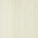 Gạch Taicera FOSSIL Series 60X60CM P67202N