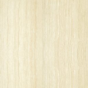 Gạch Taicera FOSSIL Series 60X60CM P67206N