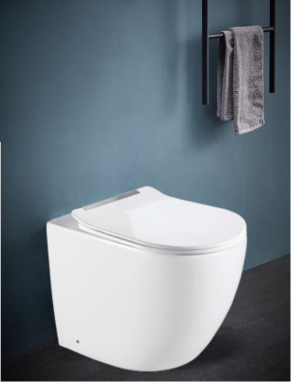 Bồn cầu đặt sàn, Rivington (chưa bao gồm két nước âm tường) - RVT-3102-FST - Ảnh 2