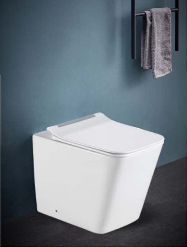 Bồn cầu đặt sàn Rivington (chưa bao gồm két nước âm tường) - RVT-3103-FST - Ảnh 2