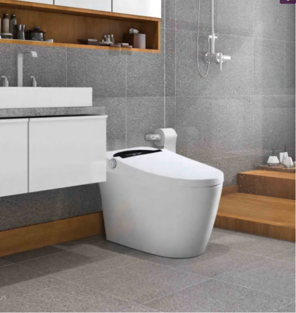 Bồn cầu thông minh, nắp tự động - RVT-66ST