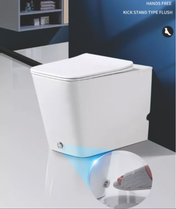 Bồn cầu đặt sàn không két nước, RIVINGTON - RVT-376-FM - Ảnh 2