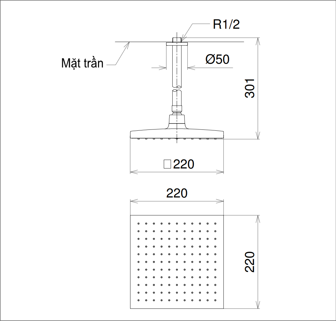 Bát Sen Gắn Trần TOTO DB144-1CR Vuông 220mm - Ảnh 2