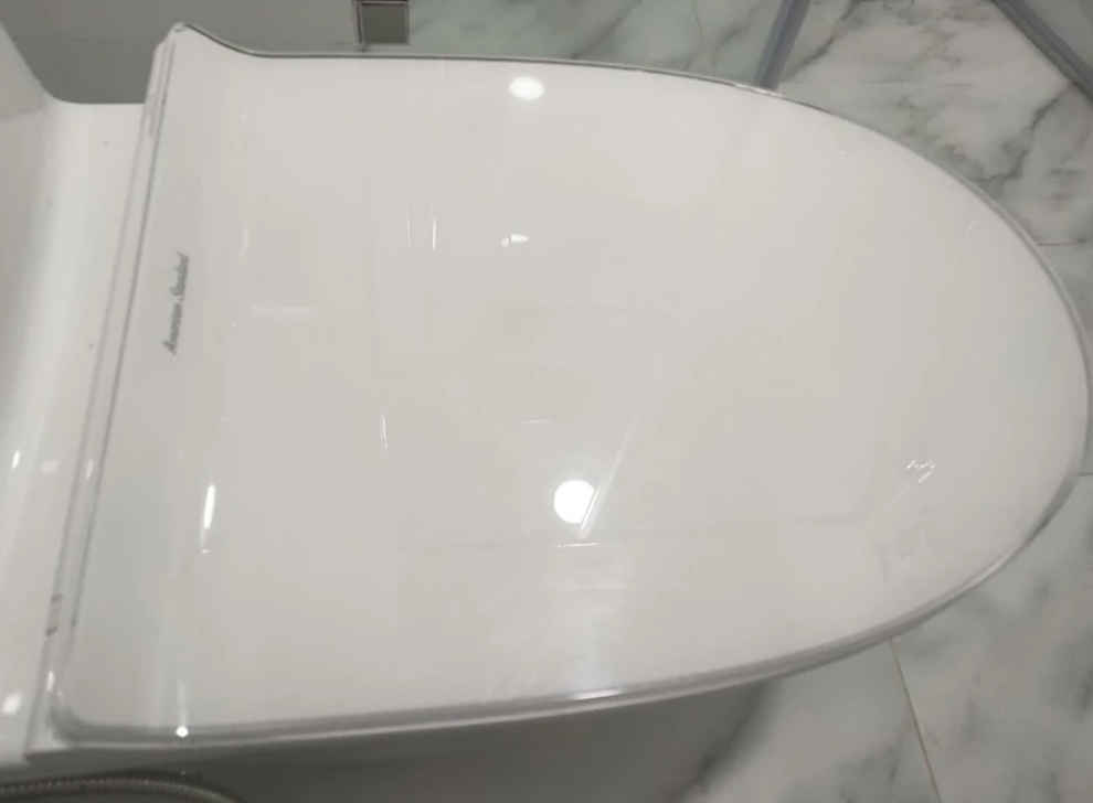 Nắp Êm Bồn Cầu American Standard WP-C119 (WP-1880 VF-1808ET) - Ảnh 3