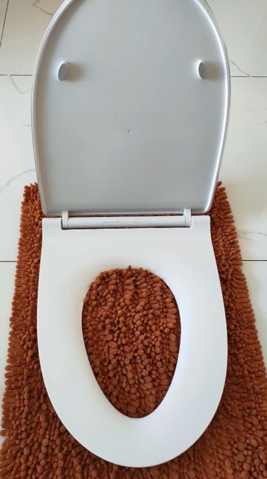 Nắp Êm Bồn Cầu American Standard WP-C119 (WP-1880 VF-1808ET) - Ảnh 2