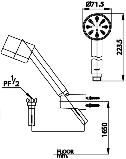 VÒI SEN COTTO - Z75H#WH(HM) - Ảnh 2