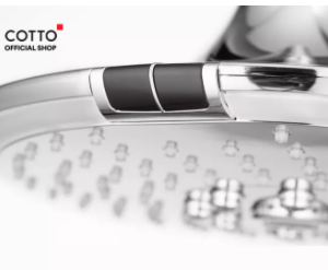 SEN ÂM TRẦN COTTO - ZF11