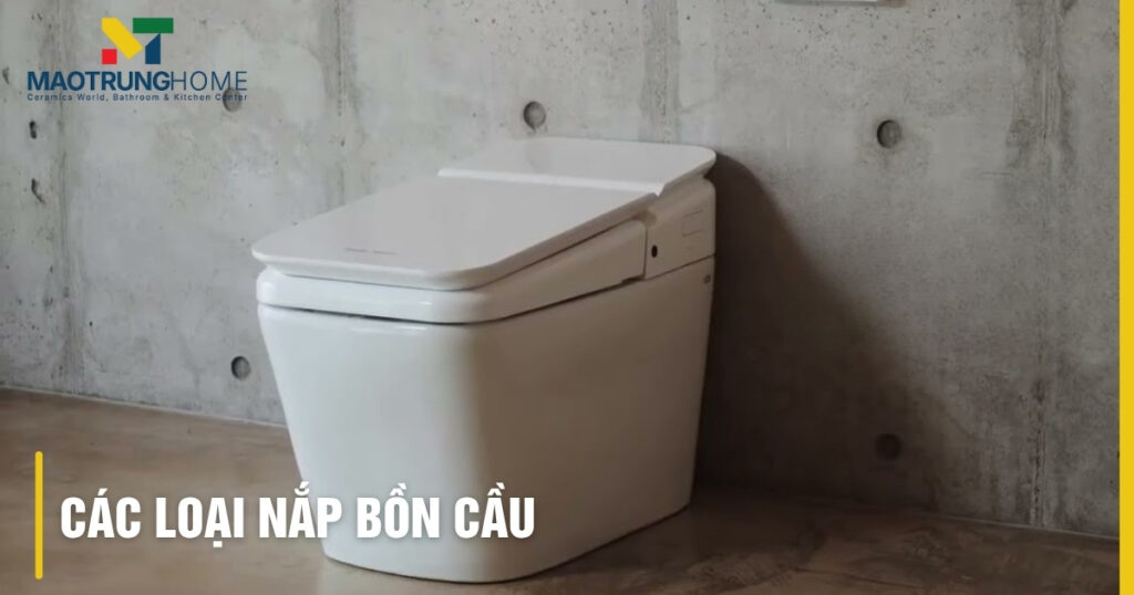 Các loại nắp bồn cầu: Phân tích, hướng dẫn chọn mua chuẩn