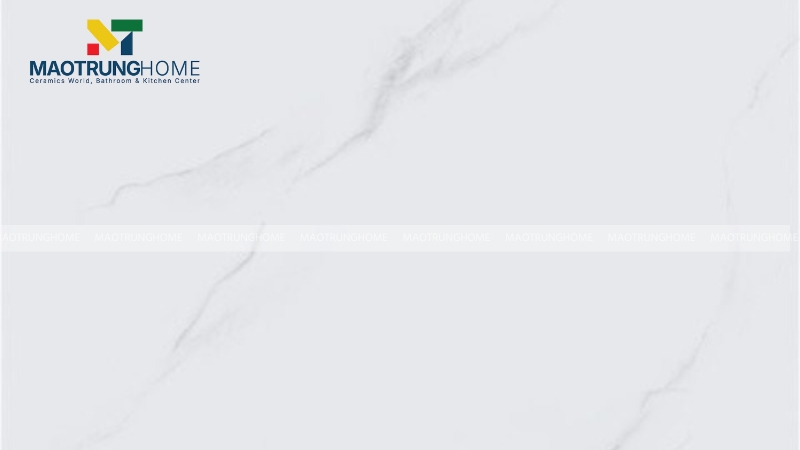 Mẫu gạch xương màu (Color Body Tile)