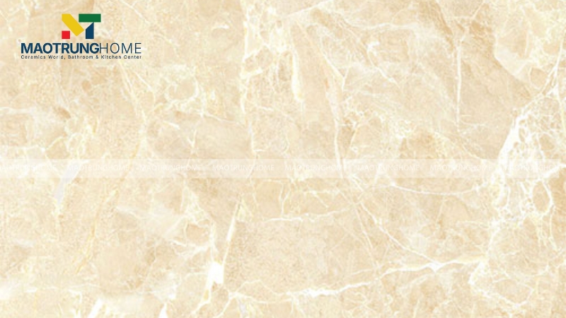 Mẫu gạch Viglacera