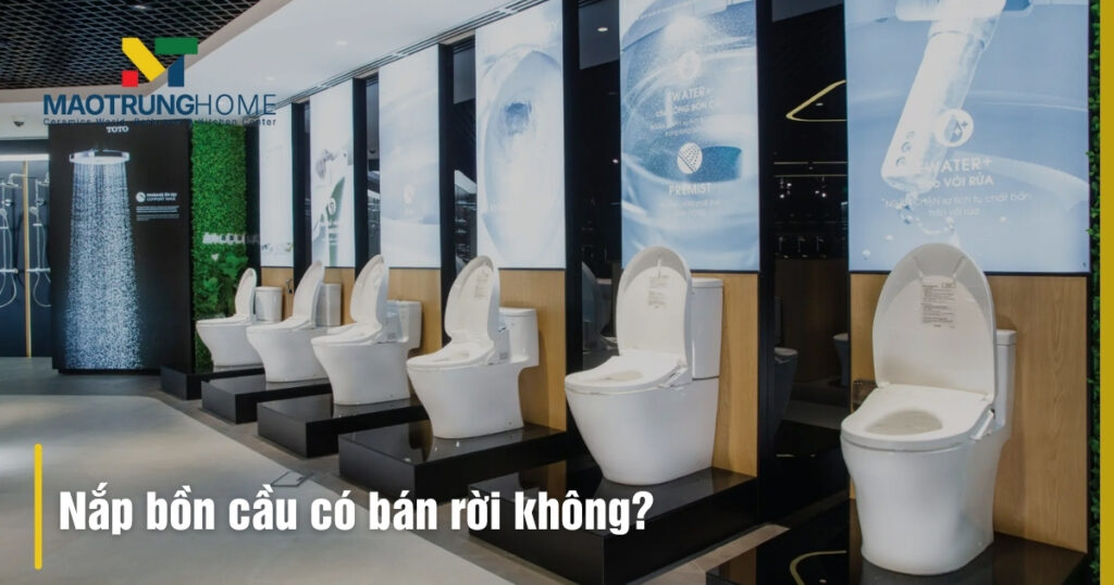 Nắp bồn cầu có bán rời không