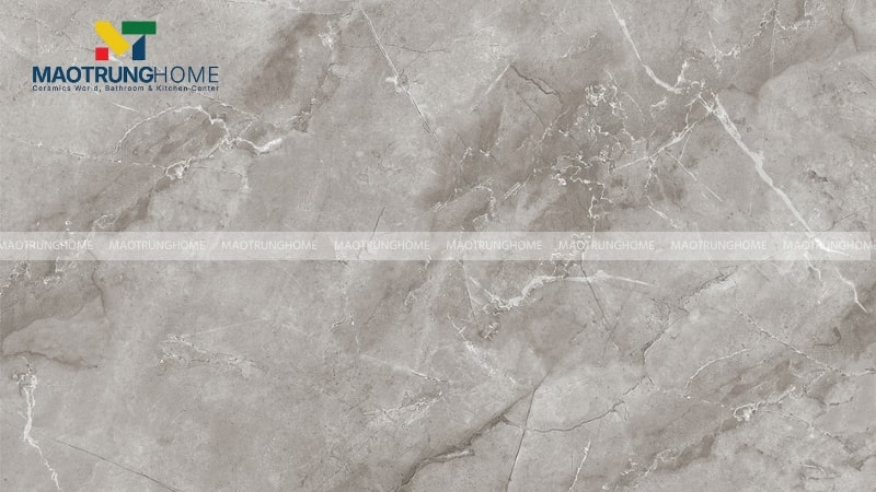 Gạch Catalan ra đời năm 2007 mang đến các sản phẩm phổ thông chất lượng cao