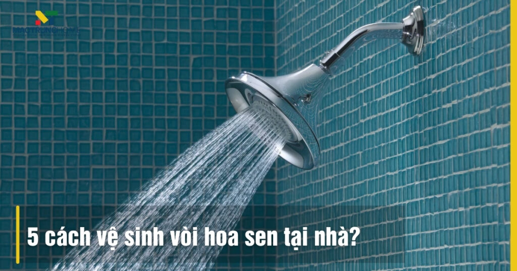 5 Cách Vệ Sinh Vòi Hoa Sen Tại Nhà: Sạch Cặn, Sáng Bóng