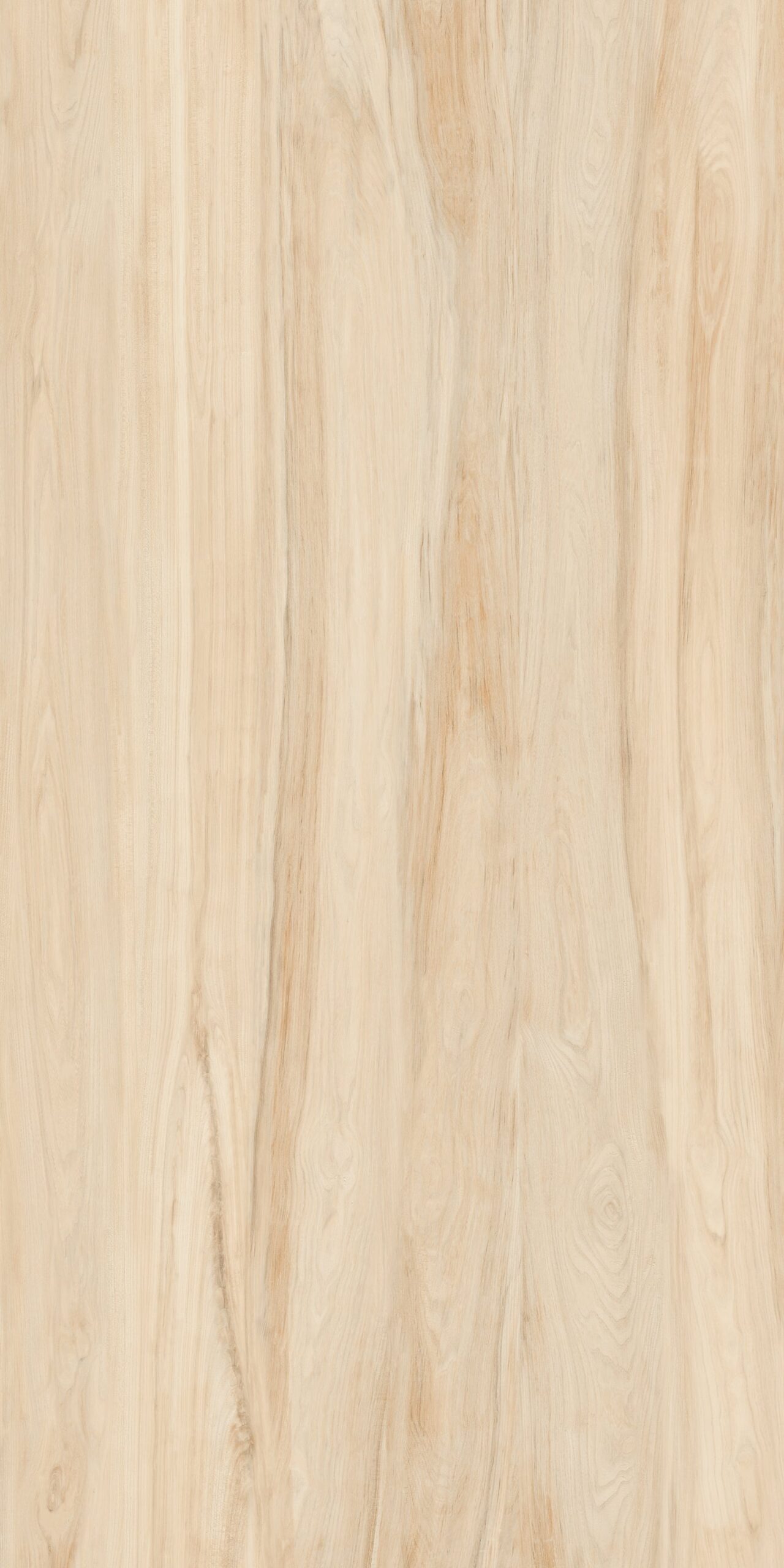 Ash Maple SM19 mang đến vẻ đẹp chân thực của thiên nhiên vào không gian sống của bạn