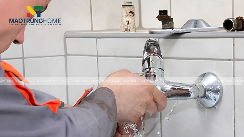 Bạn nên thay củ sen mới nếu đã thử các phương pháp khác nhưng không hiệu quả