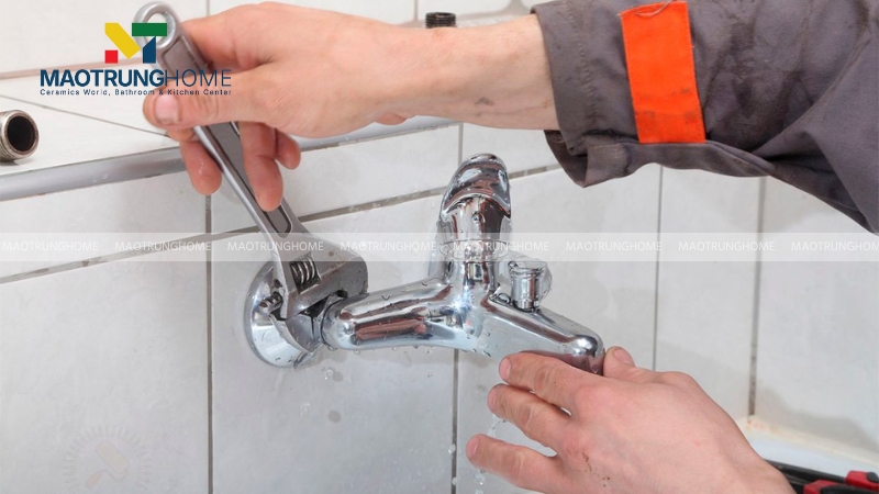 Xử lý thân sen cây bị gãy