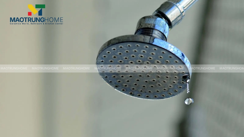 Thay mới vòi hoa sen