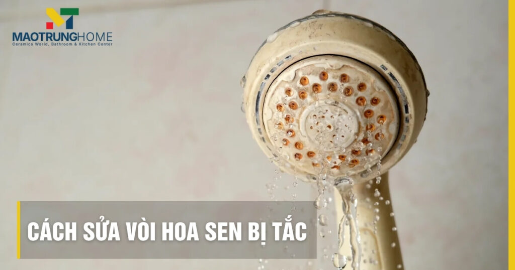 5 cách sửa vòi hoa sen bị tắc hiệu quả, nhanh chóng tại nhà.