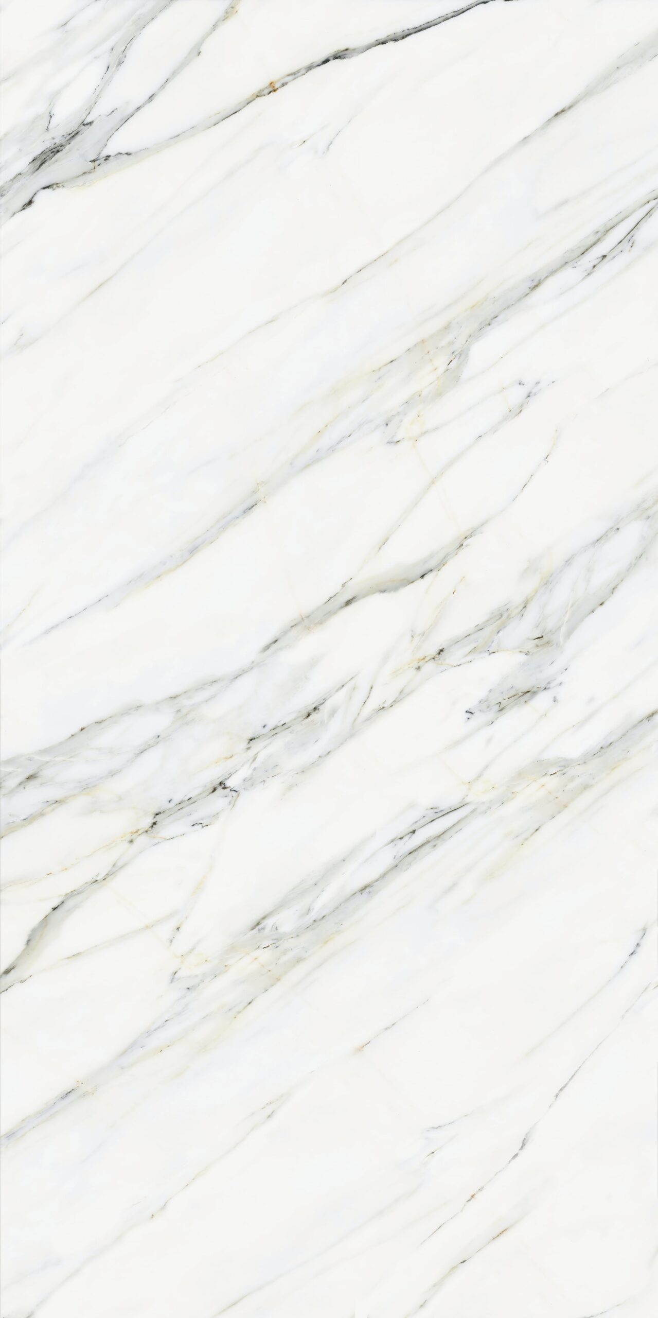 Calacatta Statuario mang lại sự thanh lịch cho không gian sống