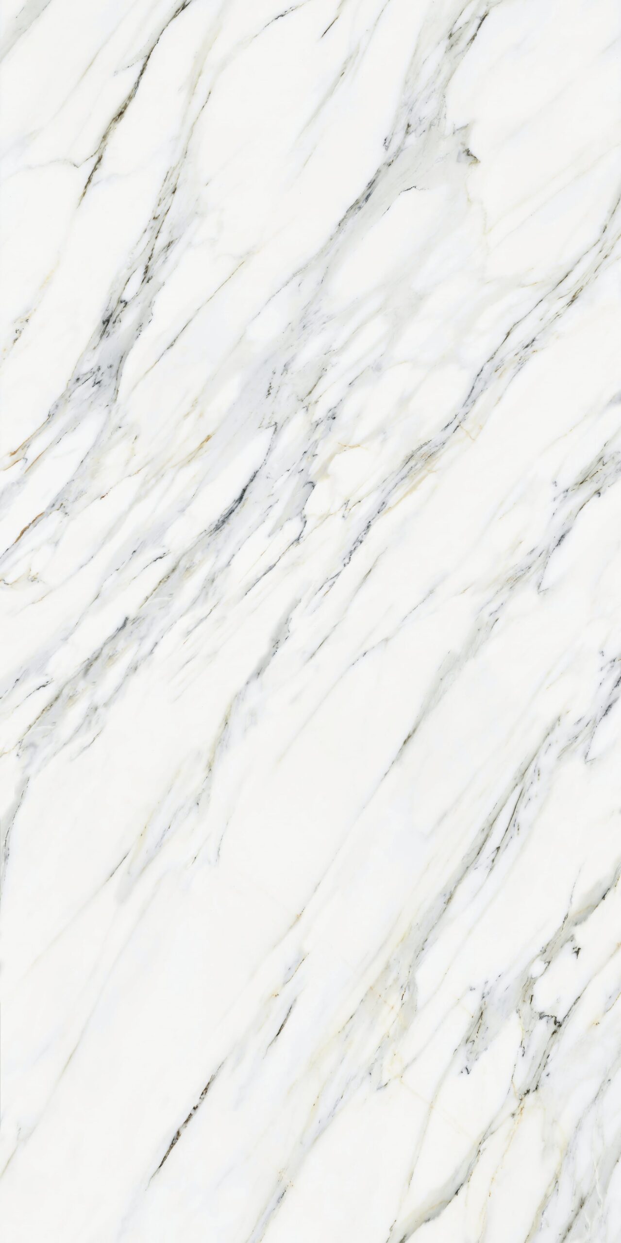 Calacatta Statuario nổi bật với vâm xám sang trọng