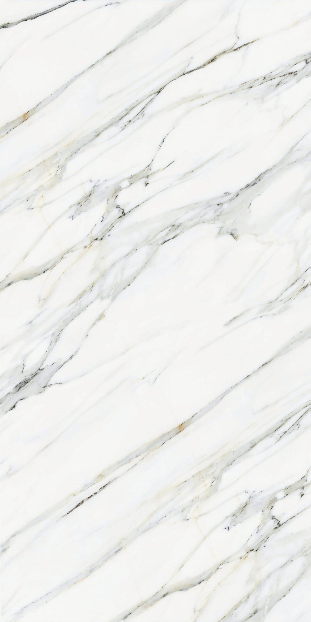 Calacatta Statuario nổi bật với sắc trắng tinh khôi