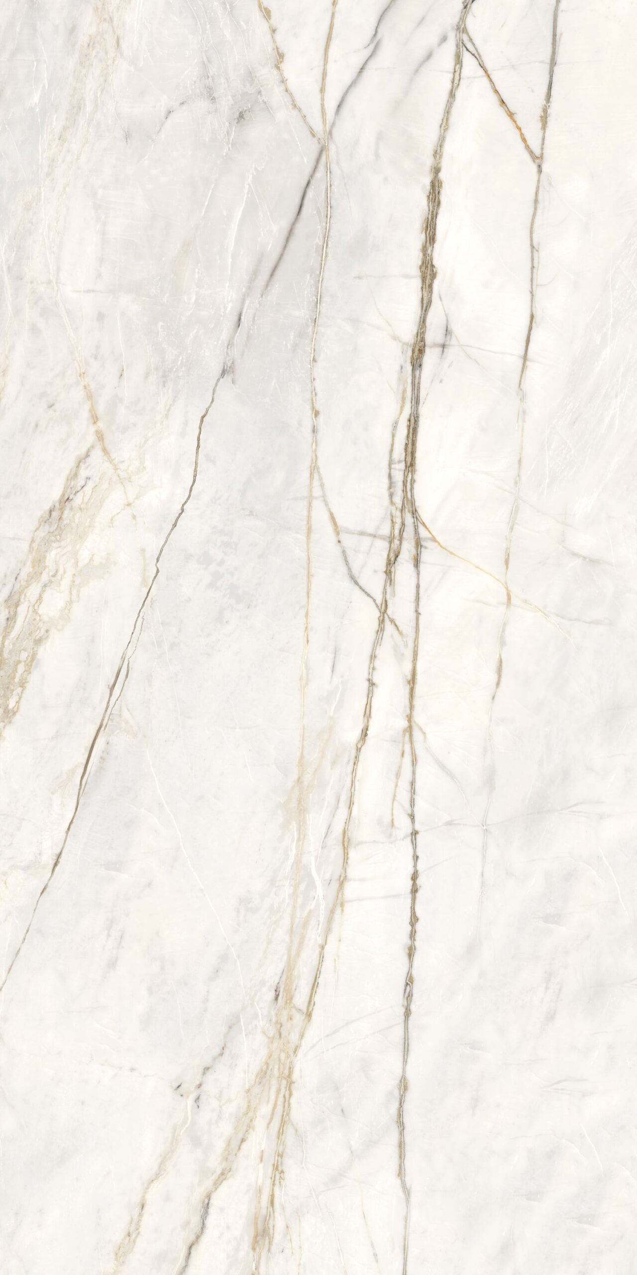 Calatorao Bianco mang đến cảm giác sang trọng và hiện đại