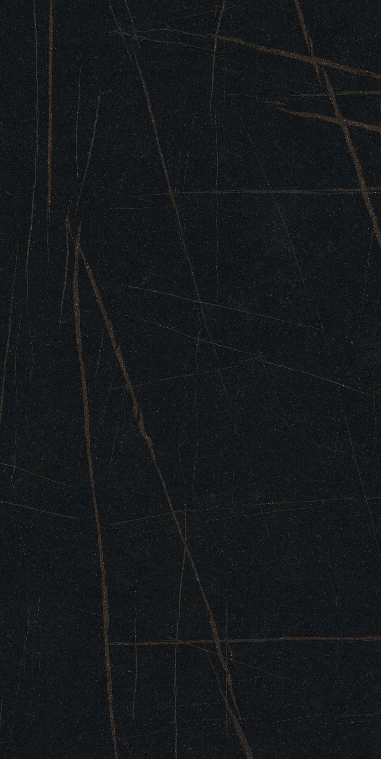 Calatorao Cafe mang đến vẻ đẹp huyền bí và sang trọng