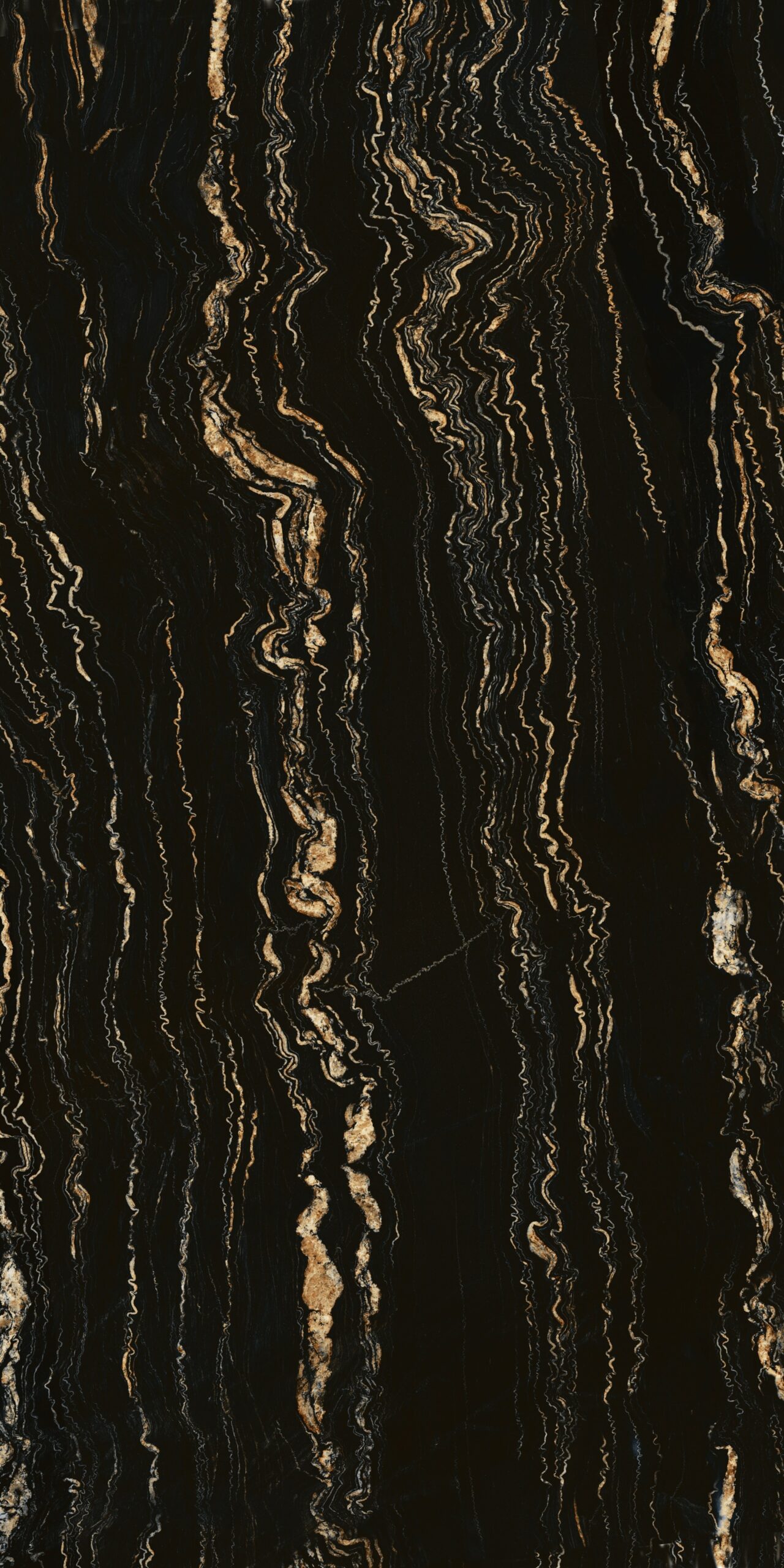 Đá hoa Fossil Noir - SP32 - Ảnh 2