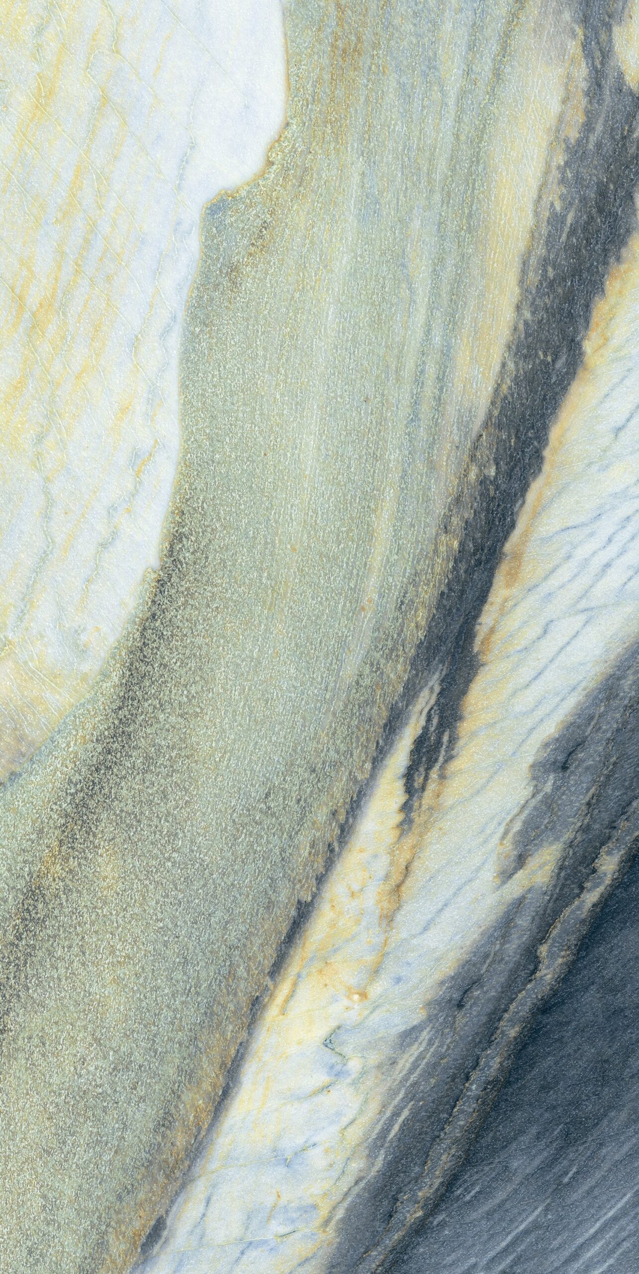 Feathers Slabstone, mang hơi thở rừng nhiệt đới vào không gian sống của bạn