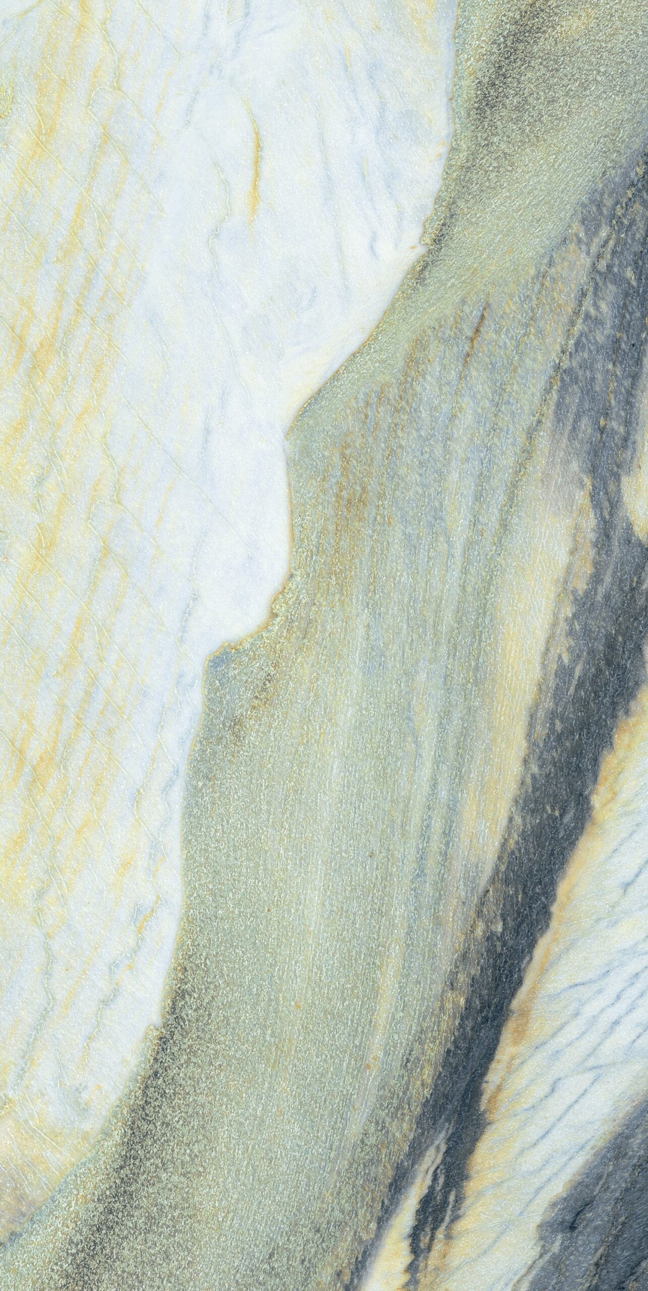 Feathers Slabstone, mang hơi thở rừng nhiệt đới vào không gian sống của bạn