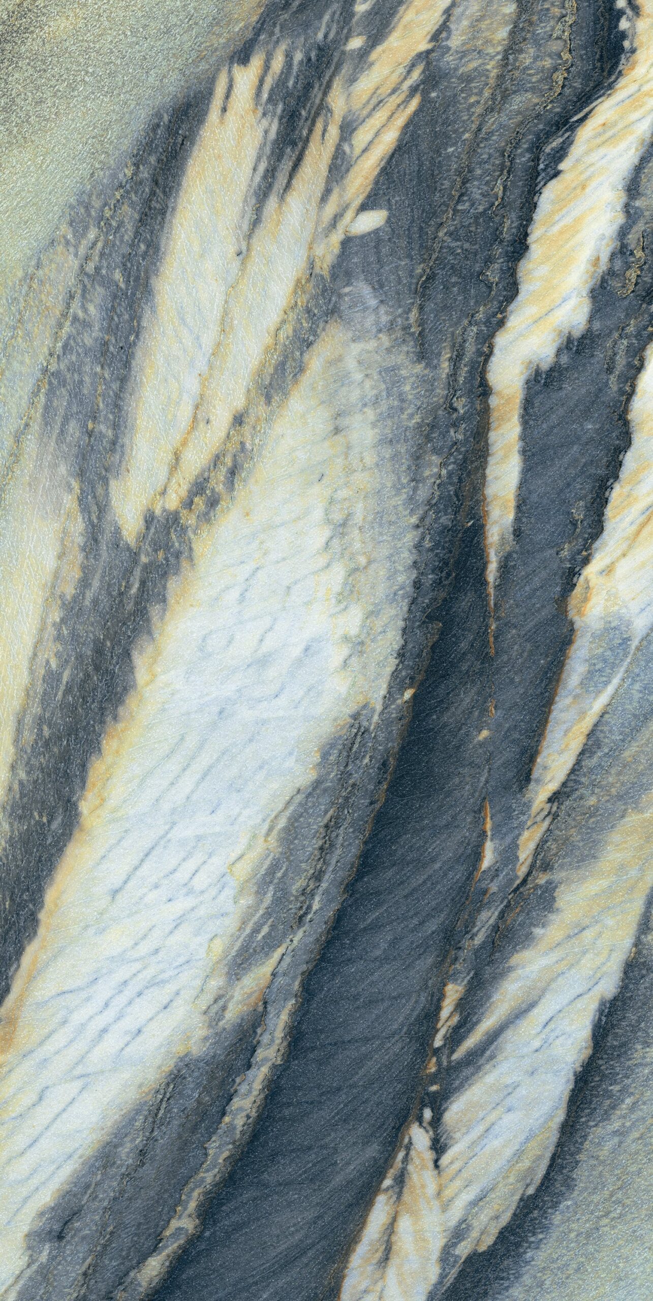 Feathers Slabstone, mang hơi thở rừng nhiệt đới vào không gian sống của bạn