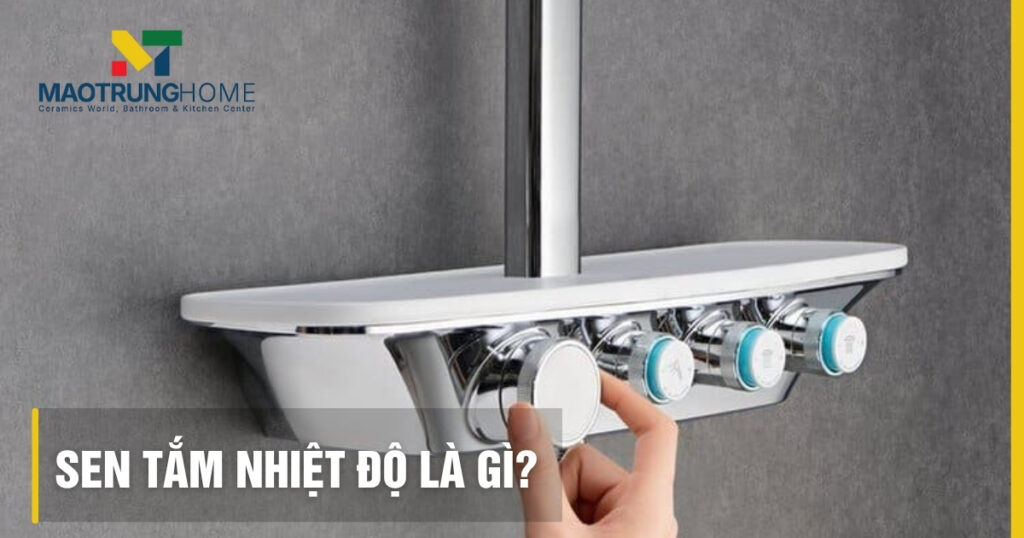 Sen tắm nhiệt độ là gì: Cấu tạo, Ưu nhược điểm và Cách dùng