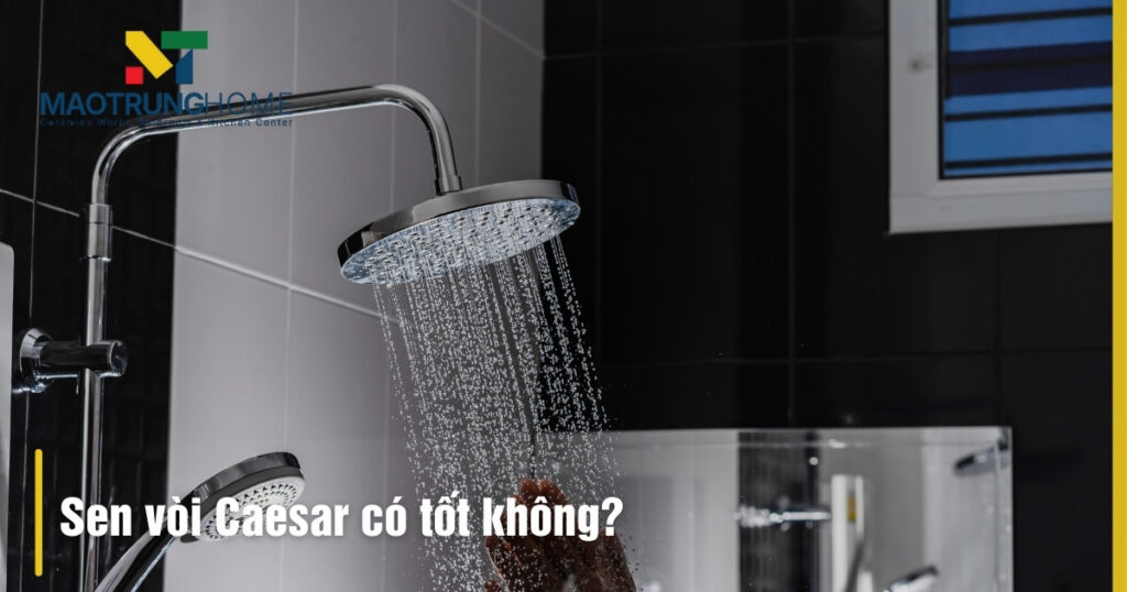 Sen vòi Caesar có tốt không