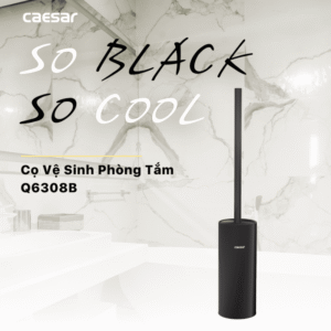 Cọ vệ sinh bàn cầu Q6308B