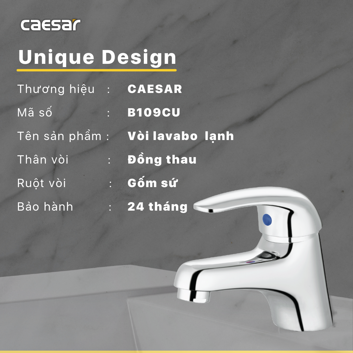 Vòi Lavabo Lạnh - B109CU - Ảnh 9