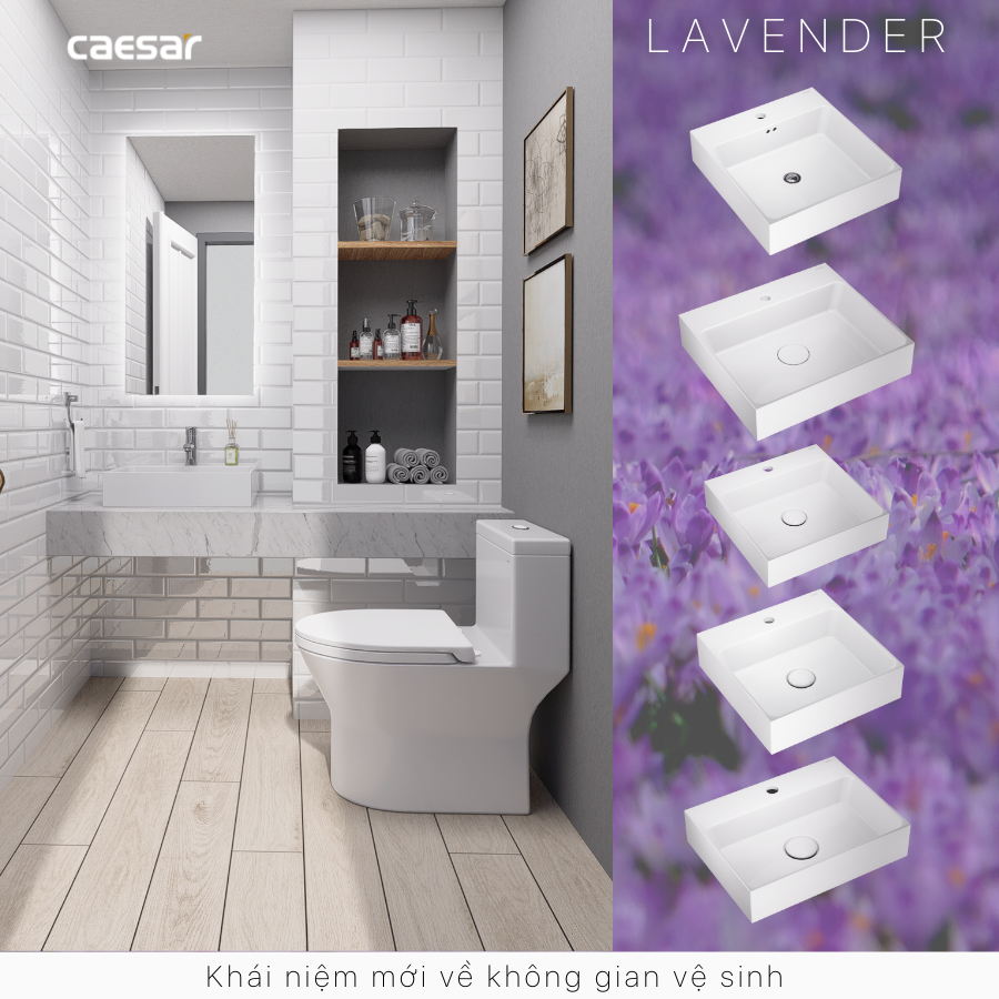 Lavabo Đặt Trên Bàn - LF5253 - Ảnh 13