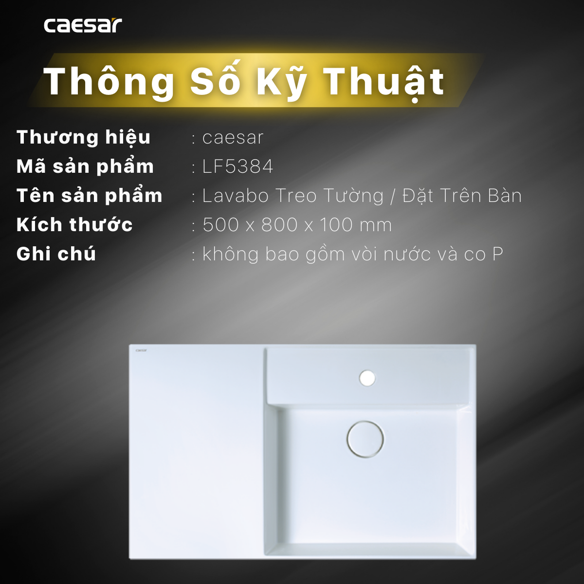 Lavabo treo tường / Lavabo đặt trên bàn - LF5384 - Ảnh 13