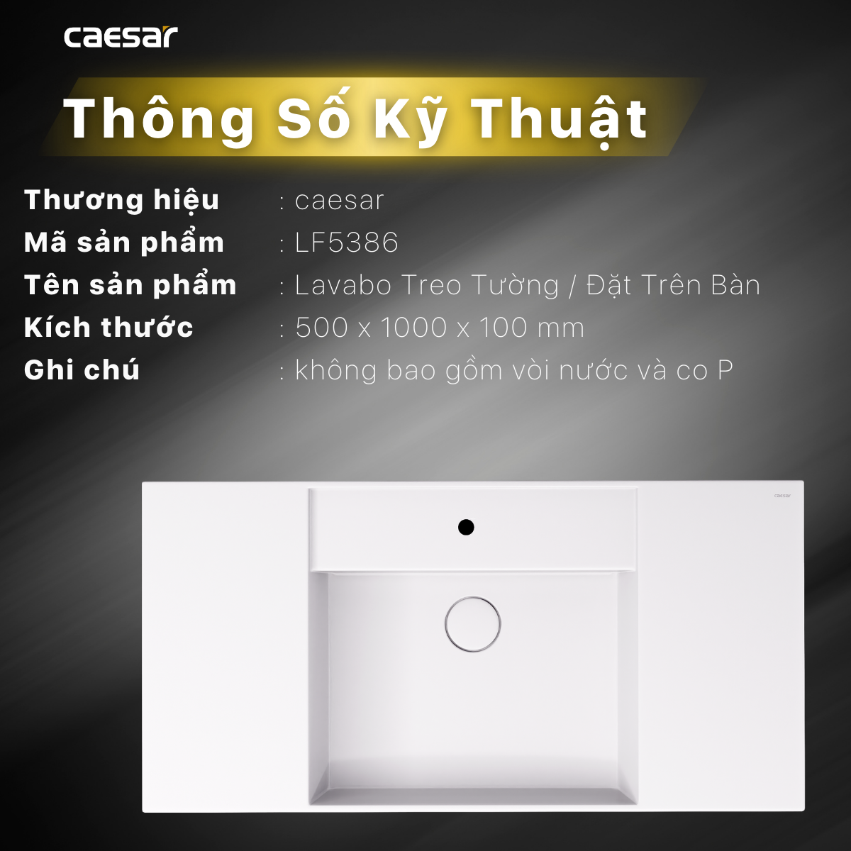 Lavabo treo tường / Lavabo đặt trên bàn - LF5386 - Ảnh 13