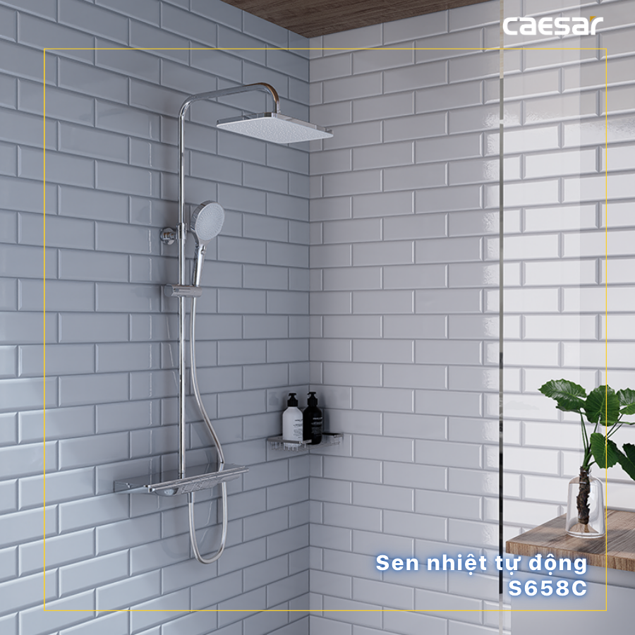 Bộ Vòi Sen Đứng Nóng Lạnh - S658C - Ảnh 11