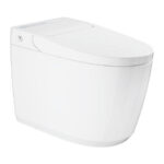 GROHE Igina 5000 Shower toilet complete system, floorstanding | GROHE