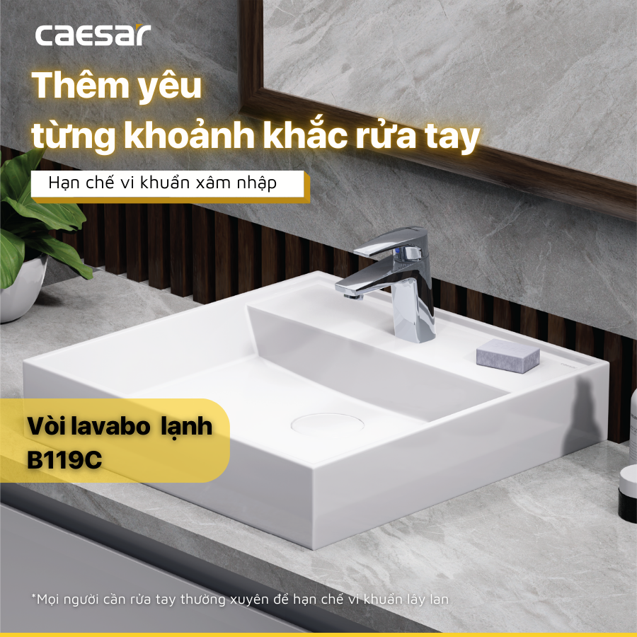 Vòi Lavabo Lạnh - B119C - Ảnh 2