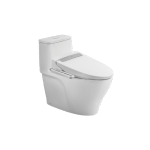 Bồn cầu 1 khối kết hợp nắp rửa điện tử AC-989+CW-H20VN