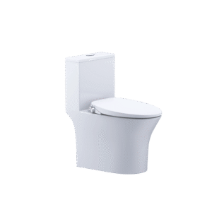 Bàn cầu kết hợp nắp cơ đa năng C1391F + TAF060