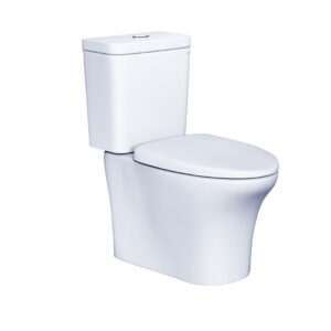 Bàn Cầu Hai Khối Nắp Êm - CD1341